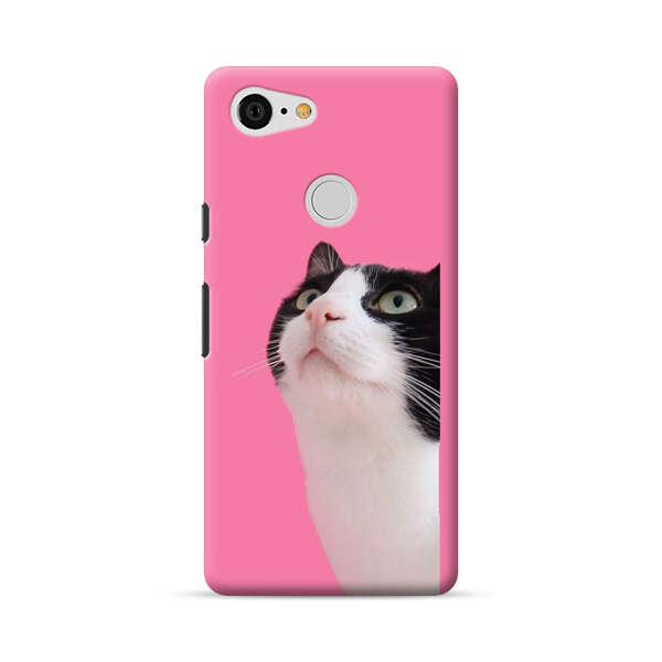Curious Black and White Cat on Pink Background Google Pixel 3 Hard Case