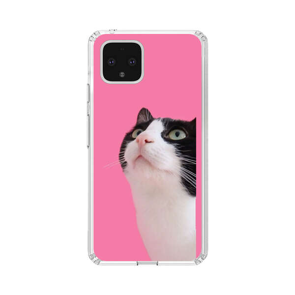 Curious Black and White Cat on Pink Background Google Pixel 4 Case