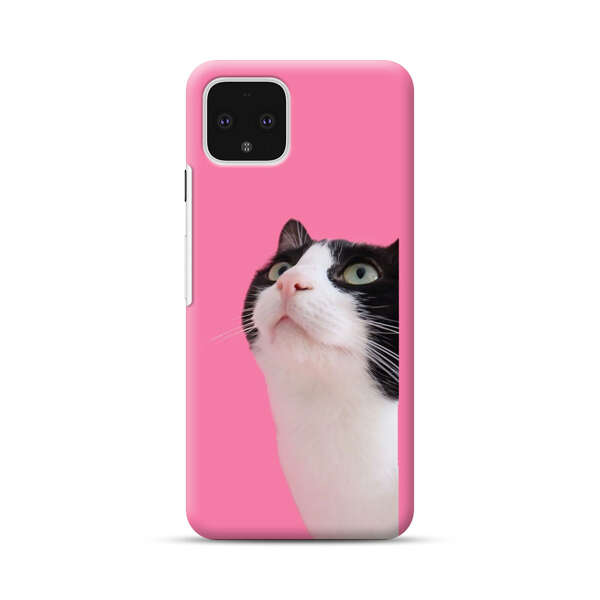 Curious Black and White Cat on Pink Background Google Pixel 4 Hard Case