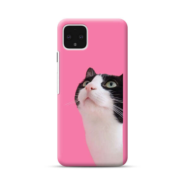 Curious Black and White Cat on Pink Background Google Pixel 4 XL Hard Case