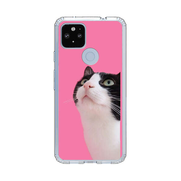 Curious Black and White Cat on Pink Background Google Pixel 4a 5G Case