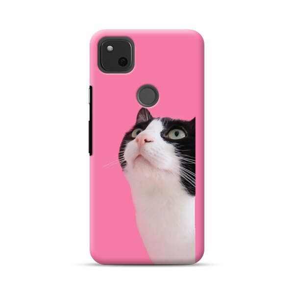 Curious Black and White Cat on Pink Background Google Pixel 4a Hard Case
