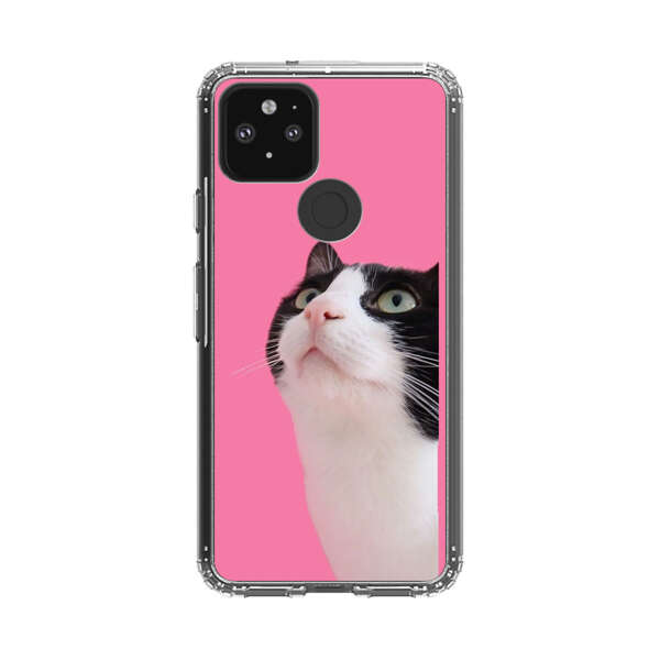 Curious Black and White Cat on Pink Background Google Pixel 5 Case
