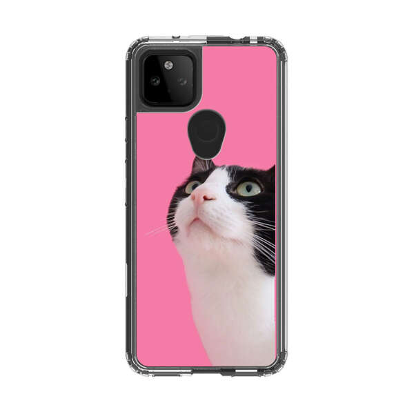 Curious Black and White Cat on Pink Background Google Pixel 5a 5G Case