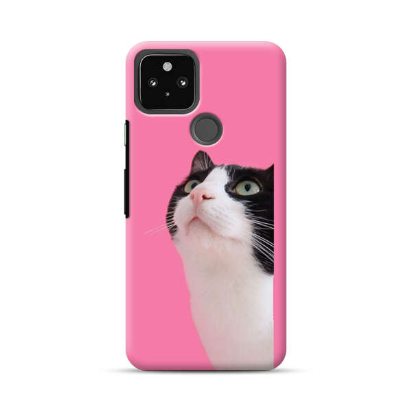 Curious Black and White Cat on Pink Background Google Pixel 5a 5G Hard Case