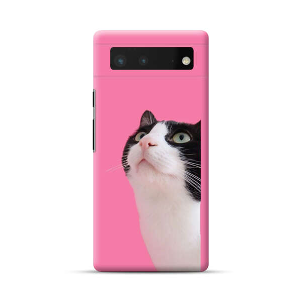 Curious Black and White Cat on Pink Background Google Pixel 6 Hard Case