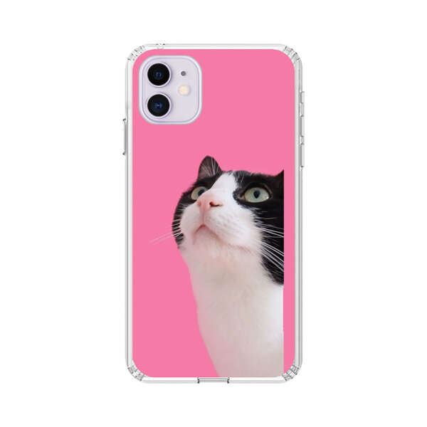 Curious Black and White Cat on Pink Background iPhone 11 Case