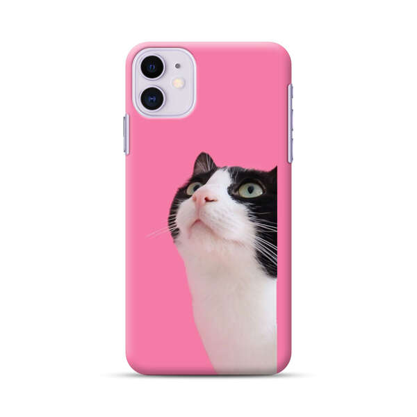 Curious Black and White Cat on Pink Background iPhone 11 Hard Case