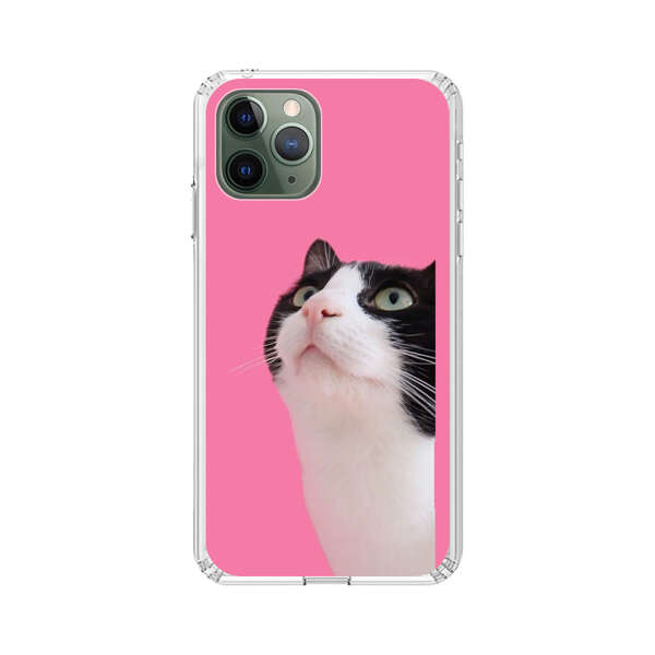 Curious Black and White Cat on Pink Background iPhone 11 Pro Case