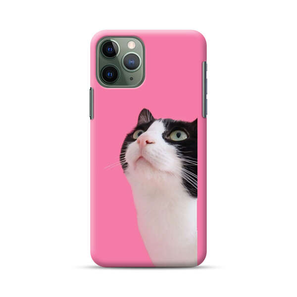 Curious Black and White Cat on Pink Background iPhone 11 Pro Max Hard Case