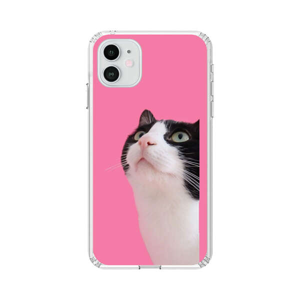 Curious Black and White Cat on Pink Background iPhone 12 Case