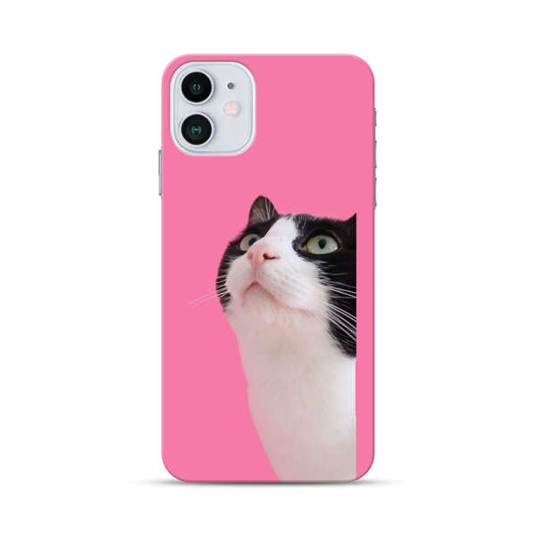 Curious Black and White Cat on Pink Background iPhone 12 Mini Hard Case