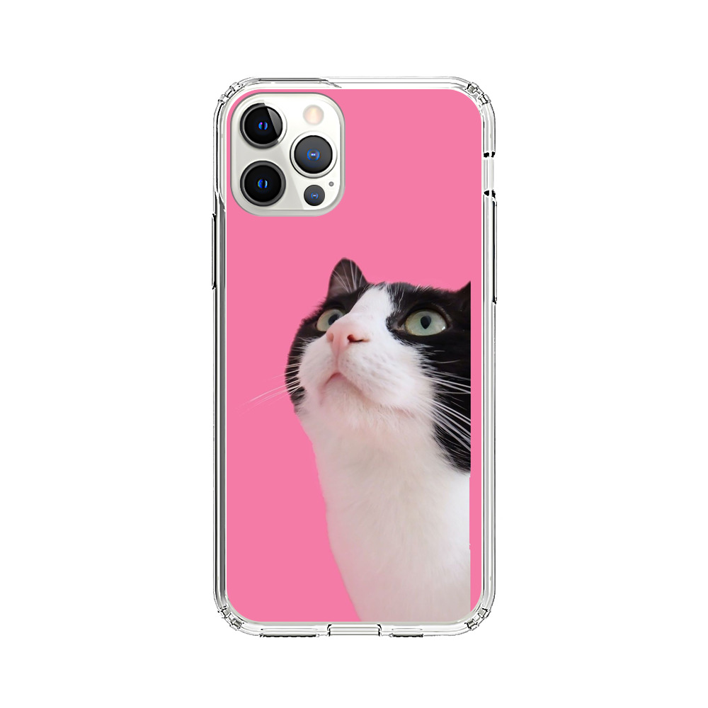 Curious Black and White Cat on Pink Background iPhone 12 Pro Case
