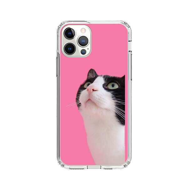 Curious Black and White Cat on Pink Background iPhone 12 Pro Max Case