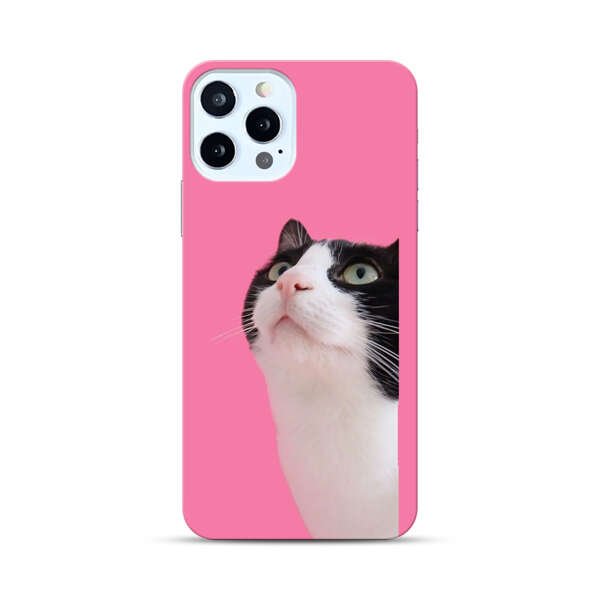 Curious Black and White Cat on Pink Background iPhone 12 Pro Max Hard Case