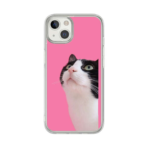 Curious Black and White Cat on Pink Background iPhone 13 Case