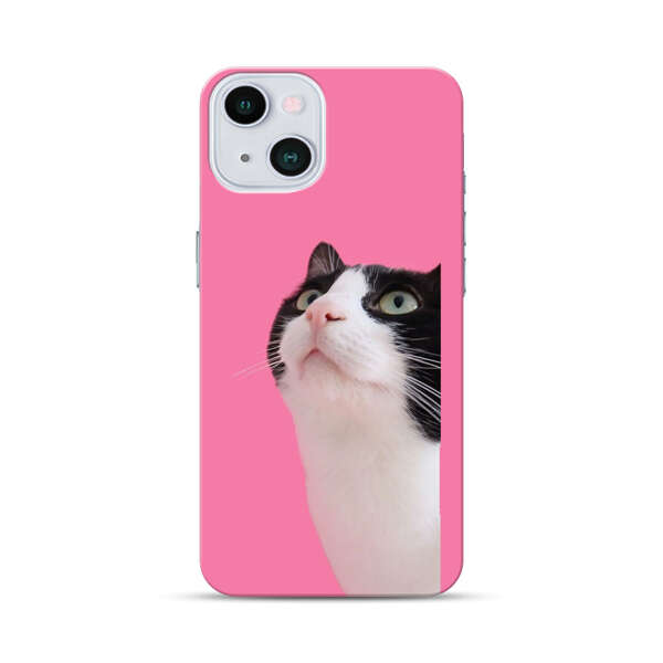 Curious Black and White Cat on Pink Background iPhone 13 Hard Case