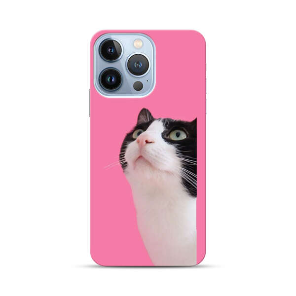 Curious Black and White Cat on Pink Background iPhone 13 Pro Hard Case