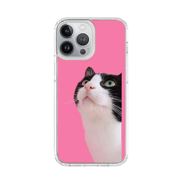 Curious Black and White Cat on Pink Background iPhone 13 Pro Max Case