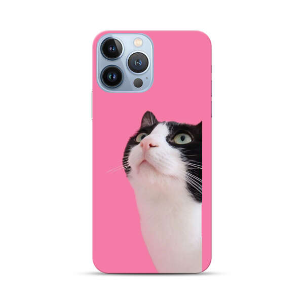 Curious Black and White Cat on Pink Background iPhone 13 Pro Max Hard Case