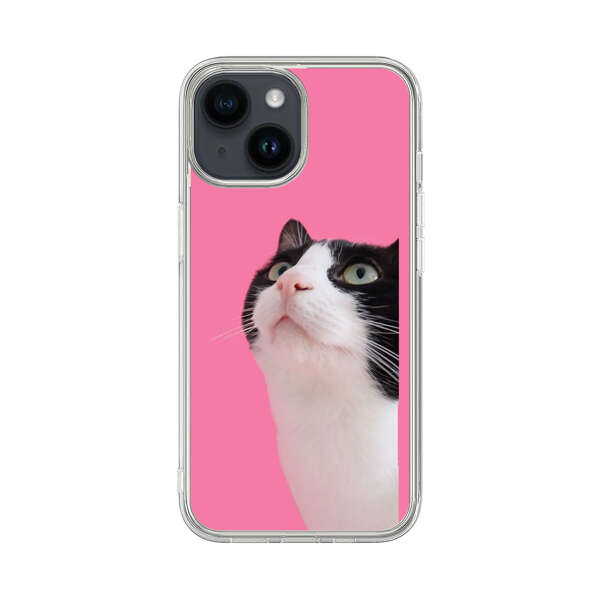 Curious Black and White Cat on Pink Background iPhone 14 Case