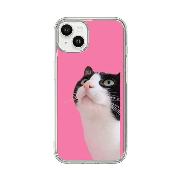 Curious Black and White Cat on Pink Background iPhone 14 Plus Case