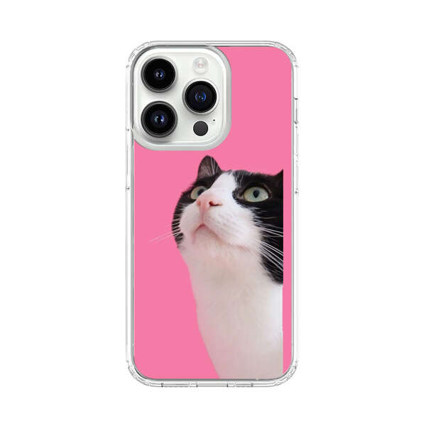 Curious Black and White Cat on Pink Background iPhone 14 Pro Case