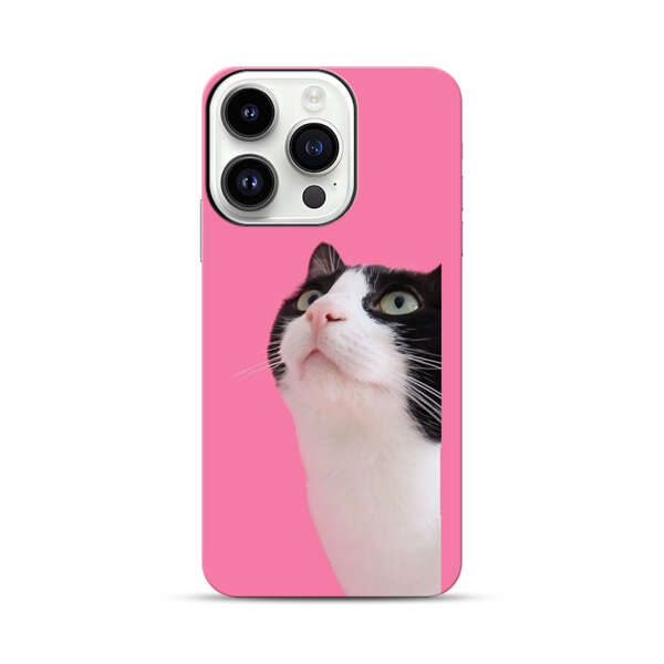 Curious Black and White Cat on Pink Background iPhone 14 Pro Impact Case