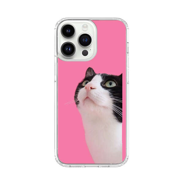 Curious Black and White Cat on Pink Background iPhone 14 Pro Max Case
