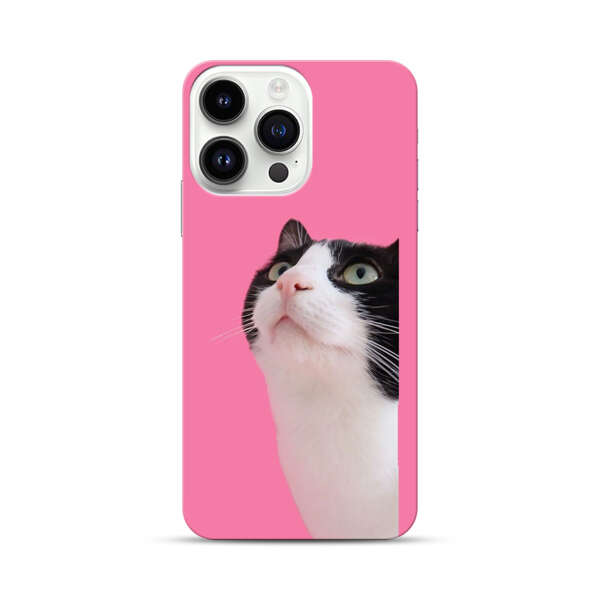 Curious Black and White Cat on Pink Background iPhone 14 Pro Max Hard Case
