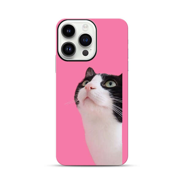 Curious Black and White Cat on Pink Background iPhone 14 Pro Max Impact Case