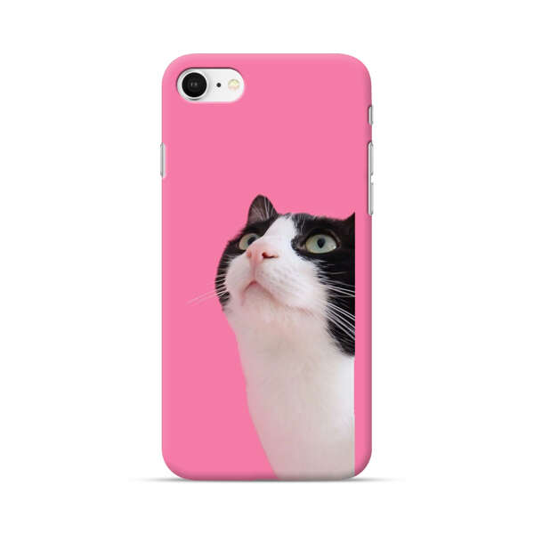 Curious Black and White Cat on Pink Background iPhone 7/8/SE (2020) Hard Case