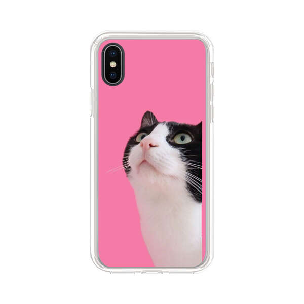 Curious Black and White Cat on Pink Background iPhone X/XS Case