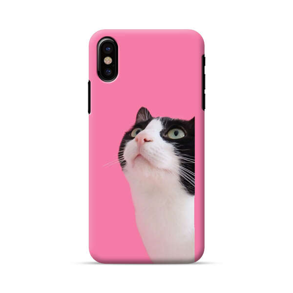 Curious Black and White Cat on Pink Background iPhone X/XS Hard Case