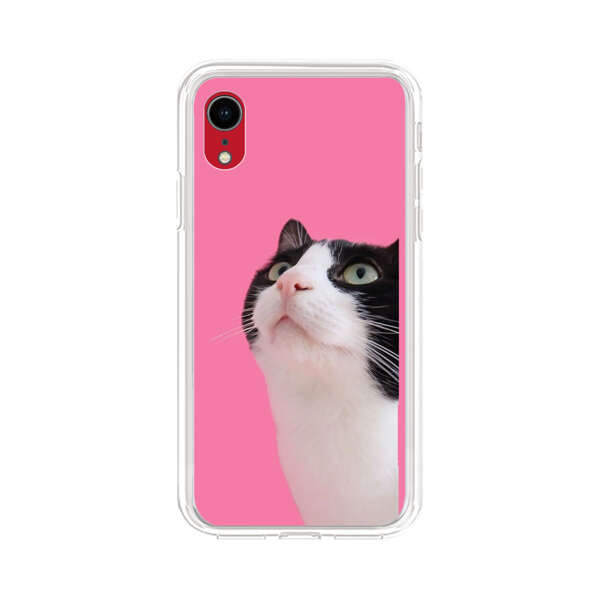 Curious Black and White Cat on Pink Background iPhone XR Case