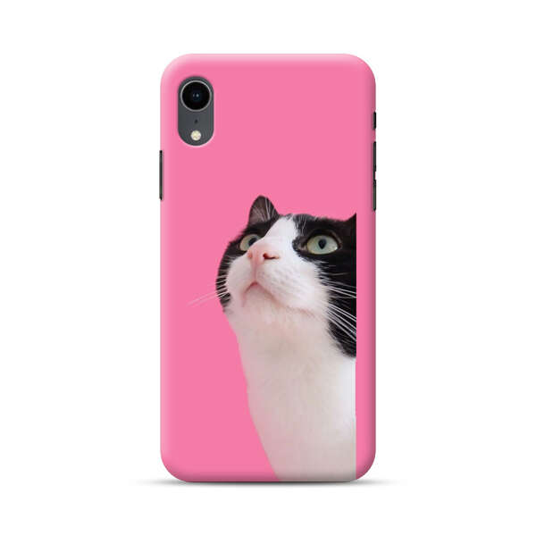 Curious Black and White Cat on Pink Background iPhone XR Hard Case