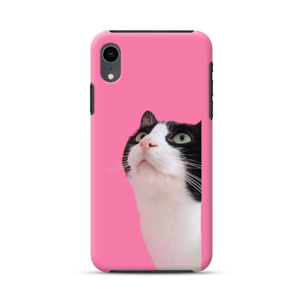 Curious Black and White Cat on Pink Background iPhone XR Impact Case