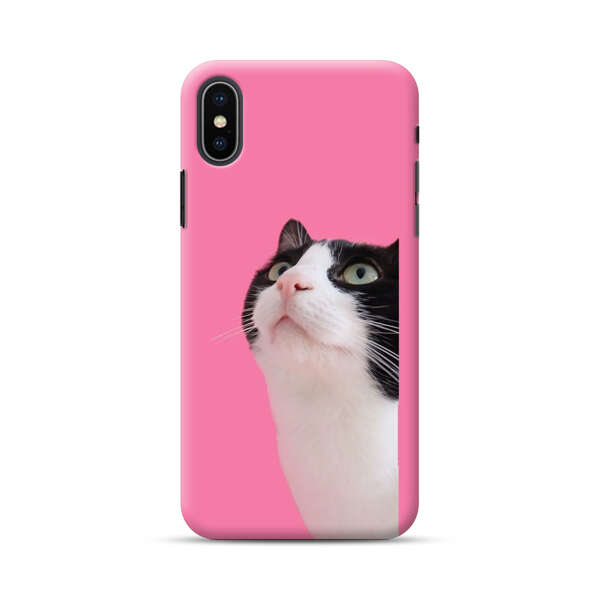 Curious Black and White Cat on Pink Background iPhone XS Max Hard Case