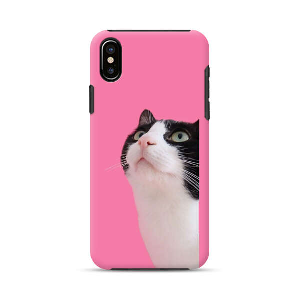 Curious Black and White Cat on Pink Background iPhone XS Max Impact Case