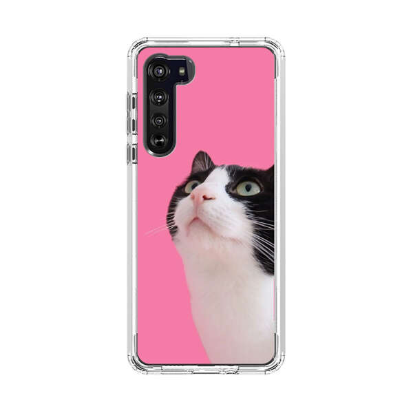 Curious Black and White Cat on Pink Background Motorola Edge (2020) Case