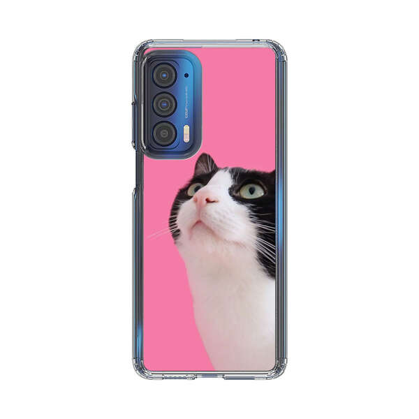 Curious Black and White Cat on Pink Background Motorola Edge (2021) Case