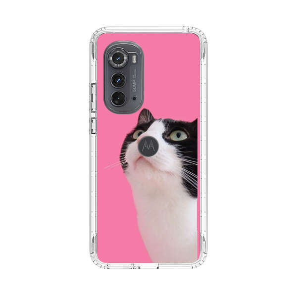 Curious Black and White Cat on Pink Background Motorola Edge (2022) Case