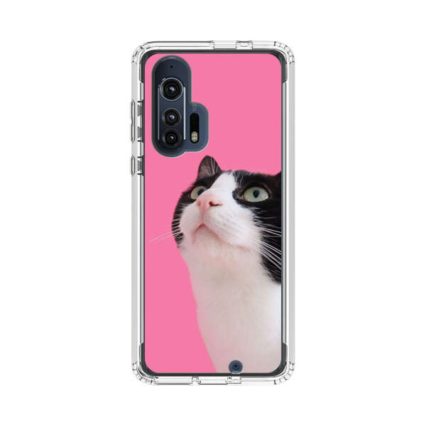 Curious Black and White Cat on Pink Background Motorola Edge Plus (2020) Case