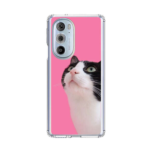 Curious Black and White Cat on Pink Background Motorola Edge Plus (2022) Case