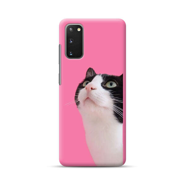 Curious Black and White Cat on Pink Background Samsung Galaxy S20 FE (5G) Hard Case