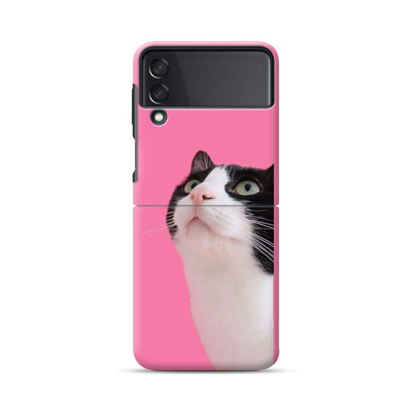 Curious Black and White Cat on Pink Background Samsung Galaxy Z Flip 3 (5G) Hard Case
